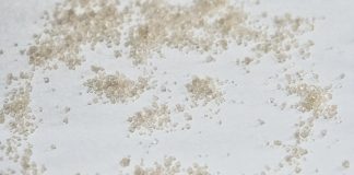 Apa Itu Pati: Pengertian, Struktur, Manfaat, Sifat, Dan Sumber Pati Dalam Kehidupan Sehari-hari