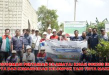 Transformasi Pertanian Cilamaya: Kisah Sukses Energi Surya dan Kemandirian Kelompok Tani Tirta Makmur